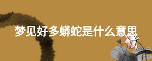 夢(mèng)見好多蟒蛇是什么意思
