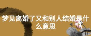 夢見離婚了又和別人結婚是什么意思