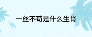 一絲不茍是什么生肖