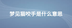 夢(mèng)見(jiàn)貓咬手是什么意思