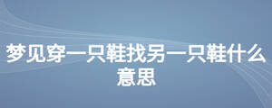 夢(mèng)見(jiàn)穿一只鞋找另一只鞋什么意思