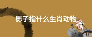 影子指什么生肖動(dòng)物
