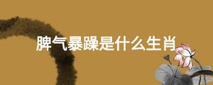 脾氣暴躁是什么生肖
