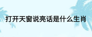 打開天窗說亮話是什么生肖