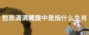 愁思滿滿藏腹中是指什么生肖