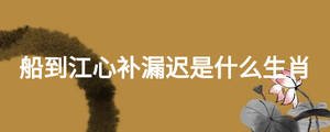 船到江心補(bǔ)漏遲是什么生肖
