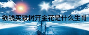 欲錢買鐵樹開金花是什么生肖