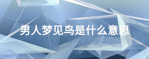 男人夢見鳥是什么意思