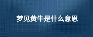 夢(mèng)見(jiàn)黃牛是什么意思
