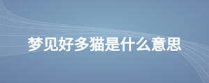 夢見好多貓是什么意思