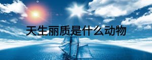 天生麗質是什么動物