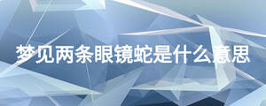 夢(mèng)見兩條眼鏡蛇是什么意思