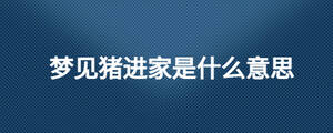 夢見豬進家是什么意思