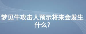 夢(mèng)見牛攻擊人預(yù)示將來(lái)會(huì)發(fā)生什么?