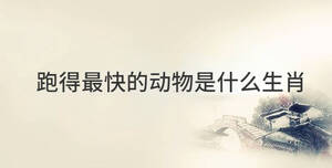 傳統(tǒng) (55).jpg