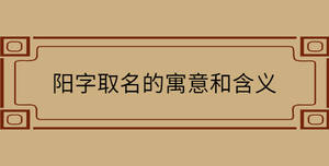 自創 - 2022-08-15T115322.350.jpg