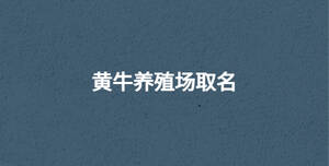 深色背景 - 2022-09-17T111203.678.jpg
