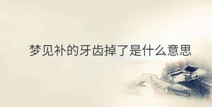 傳統(tǒng) - 2022-12-06T112625.320.jpg
