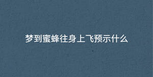 深色背景 - 2022-12-19T112337.968.jpg