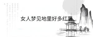 背景圖 - 2023-01-10T152854.979.jpg