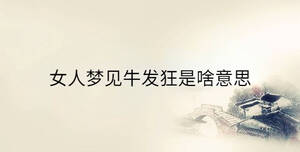 傳統(tǒng) - 2023-01-13T145512.577.jpg