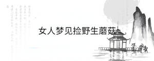 背景圖 - 2023-01-13T142816.399.jpg