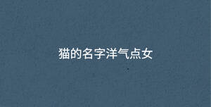 深色背景 - 2023-02-09T153419.101.jpg