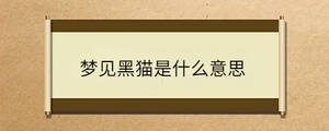 問答 - 2023-02-09T132759.194.jpg