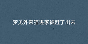 深色背景 - 2023-02-24T140841.507.jpg