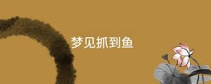 起名 - 2023-02-27T153320.429.jpg