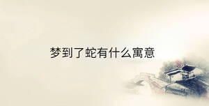 傳統(tǒng) - 2023-03-28T093427.464.jpg