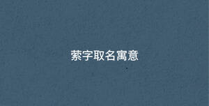 深色背景 - 2023-05-08T133306.309.jpg