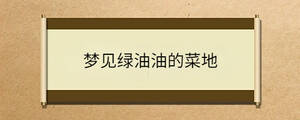 問答 - 2023-05-15T103145.599.jpg