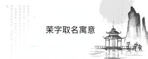 背景圖 (11).jpg