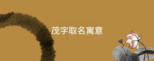 起名 (8).jpg