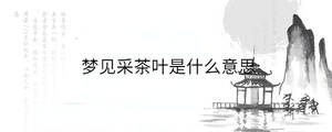背景圖 - 2023-06-30T144057.139.jpg