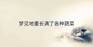 傳統(tǒng) - 2023-07-06T133355.863.jpg