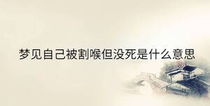 傳統(tǒng) - 2023-08-21T103041.401.jpg