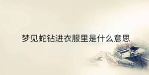 夢(mèng)見(jiàn)蛇鉆進(jìn)衣服里是什么意思