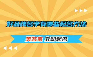 好品牌名字有哪些起名方法