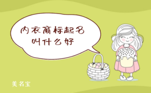 內衣商標起名叫什么好